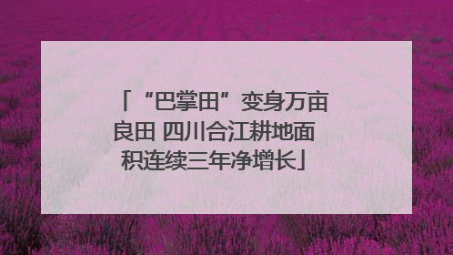 “巴掌田”变身万亩良田 四川合江耕地面积连续三年净增长